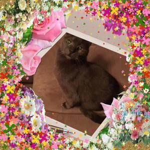 Meet your Posher, Lori